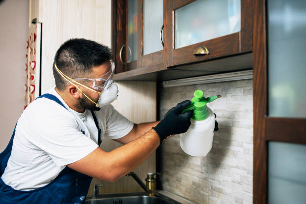 Best Pest Prevention Services  in Abilene, KS