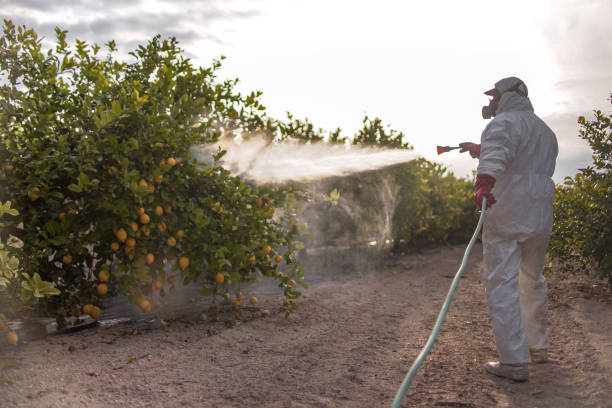 Best Mosquito Control Services  in Abilene, KS